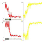 A Preliminary Study on Graphene Film-Metal Composites Prepared by Electrodeposition Figure 4