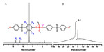 Preparation of 3D Semi-Interpenetrated Polymer Networks Polymer Electrolyte for Lithium Metal Battery Figure 2