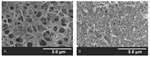 Preparation of 3D Semi-Interpenetrated Polymer Networks Polymer Electrolyte for Lithium Metal Battery Figure 4