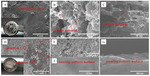 Preparation of 3D Semi-Interpenetrated Polymer Networks Polymer Electrolyte for Lithium Metal Battery Figure 8