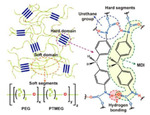 Preparation and Characterization of Thermoplastic Polyurethane-Based Polymer Electrolyte Figure 1