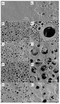 Preparation and Characterization of Thermoplastic Polyurethane-Based Polymer Electrolyte Figure 4