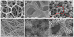 Preparation of CoO/RGO@Ni Foam Electrode and Its Electrocatalytic Reduction of CO2 Figure 2