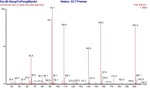 Electrochemical Synthesis of p-(β-Hydroxyethyl Sulfone) Aniline Figure 1