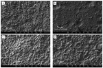 Preparation of Modified Titanium Based PbO2 Electrode and Its Rapid Detection of COD Figure 1