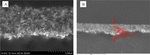 Structure Analysis of PEMFC Cathode Catalyst Layer Figure 8