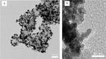 Structure Analysis of PEMFC Cathode Catalyst Layer Figure 10