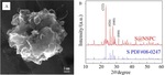 Nitrogen-Sulfur Co-Doped Porous Carbon Preparation and Its Application in Lithium-Sulfur Batteries Figure 2