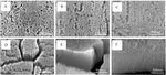 Formation and Morphological Evolution of Nanoporous Anodized Iron Oxide Films Figure 2