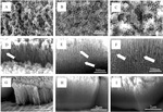 Formation and Morphological Evolution of Nanoporous Anodized Iron Oxide Films Figure 5