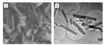 Photoelectrochemical Sensing Based on Zr-MOFs for Homocysteine Detection Figure 2