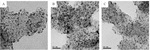 Progress of Pt-Based Catalysts in Proton-Exchange Membrane Fuel Cells: A Review Figure 2