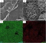 A Flexible Enzymeless Glucose Sensor via Electrodepositing 3D Flower-like CoS onto Self-Supporting Graphene Tape Electrode