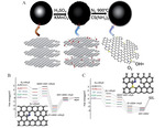 Recent Advances in Structural Regulation on Non-Precious Metal Catalysts for Oxygen Reduction Reaction in Alkaline Electrolytes