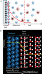 Recent Advances in Electrochemical Kinetics Simulations and Their Applications in Pt-based Fuel Cells