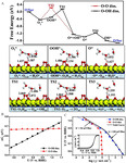 Recent Advances in Electrochemical Kinetics Simulations and Their Applications in Pt-based Fuel Cells