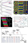 Recent Advances in Electrochemical Kinetics Simulations and Their Applications in Pt-based Fuel Cells