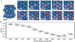 Recent Advances in Electrochemical Kinetics Simulations and Their Applications in Pt-based Fuel Cells