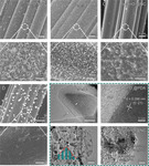 Selective CO2 Reduction to Formate on Heterostructured Sn/SnO2 Nanoparticles Promoted by Carbon Layer Networks