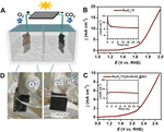 Selective CO2 Reduction to Formate on Heterostructured Sn/SnO2 Nanoparticles Promoted by Carbon Layer Networks