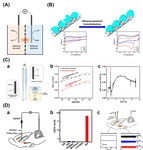 Brain Electrochemistry