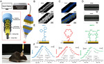 Rational Design of Electrochemical Molecular Probes for Highly Selective and Long-Term Measurement In Vivo