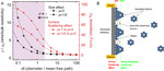 Recent Advances in Electrical Transport Spectroscopy for the in Situ Measurement of Electrochemical Interfaces