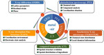 Synchrotron X-Rays Characterizations of Metal-Air Batteries