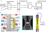 Synchrotron X-Rays Characterizations of Metal-Air Batteries