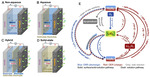 Synchrotron X-Rays Characterizations of Metal-Air Batteries