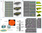 Synchrotron X-Rays Characterizations of Metal-Air Batteries