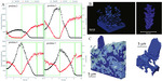 Synchrotron X-Rays Characterizations of Metal-Air Batteries