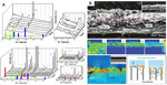 Synchrotron X-Rays Characterizations of Metal-Air Batteries