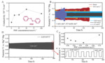 An Additive Incorporated Non-Nucleophilic Electrolyte for Stable Magnesium Ion Batteries