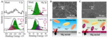 An Additive Incorporated Non-Nucleophilic Electrolyte for Stable Magnesium Ion Batteries