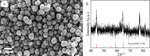 Electrochemical Degradation of Oxytetracycline Catalyzed by Fe3O4 Magnetic Nanoparticles Figure 1