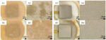 Biofouling Behaviors of Pure Titanium Surface Polarized at Different Potentials Figure 5