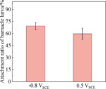 Biofouling Behaviors of Pure Titanium Surface Polarized at Different Potentials Figure 7