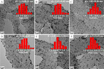 Electrocatalytic “Volcano-Type” Effect of Nano-TiO2 (A)/(R) Phase Content in Pt/TiO2-CNx Catalyst Figure 5