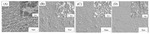 Effect of Chloride Ion on Electrochemical Behavior of Silver Electrodeposition in ChCl-Urea Low Eutectic Solvent Figure 5