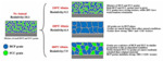 Research Progresses of Cobalt Interconnect and Superfilling by Electroplating in Chips Figure 9