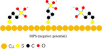 Electrochemical SERS study of Benzotriazole and 3-mercapto-1-propanesulfonate in Acidic Solution on Copper Electrode Figure 4