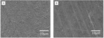 An Investigation on the Interface Corrosion Behaviors of Cobalt Interconnects in Chemical Mechanical Polishing Slurry Figure 3