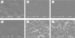 Effect of Sodium Alcohol Thiyl Propane Sulfonate on Electrolysis of High Performance Copper Foil for Lithium Ion Batteries Figure 8