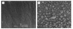 Research Progress in Electroless Cobalt Plating and the Bottom-up Filling of Electroless Plating Figure 4