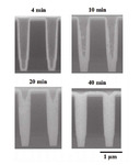 Research Progress in Electroless Cobalt Plating and the Bottom-up Filling of Electroless Plating Figure 5