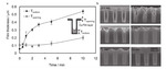 Research Progress in Electroless Cobalt Plating and the Bottom-up Filling of Electroless Plating Figure 6