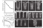 Research Progress in Electroless Cobalt Plating and the Bottom-up Filling of Electroless Plating Figure 9