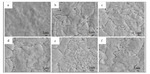 Effect of Corrosion Inhibitors on Copper Etching to Form Thick Copper Line of PCB in Acidic Etching Solution Figure 5