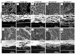 Quantitative Lithium Composite as 3D Lithium Foam Anode for Lithium Metal Battery Figure 5